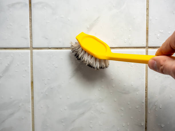 Best Insurance-Related Mold Remediation in Cactus, TX