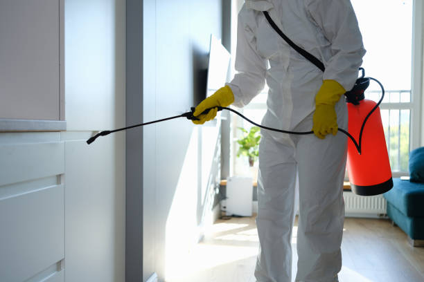 Best Crawl Space Mold Remediation in Cactus, TX